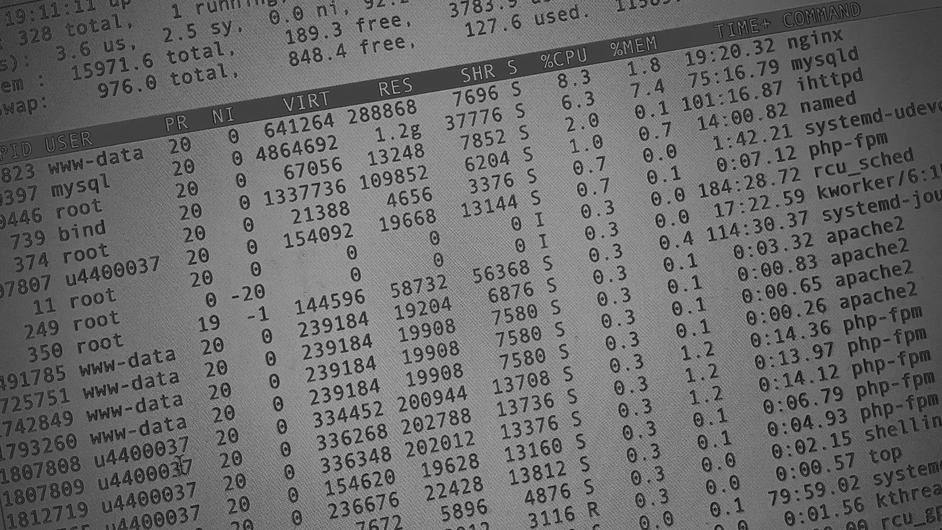 Настройка сервера в Курске