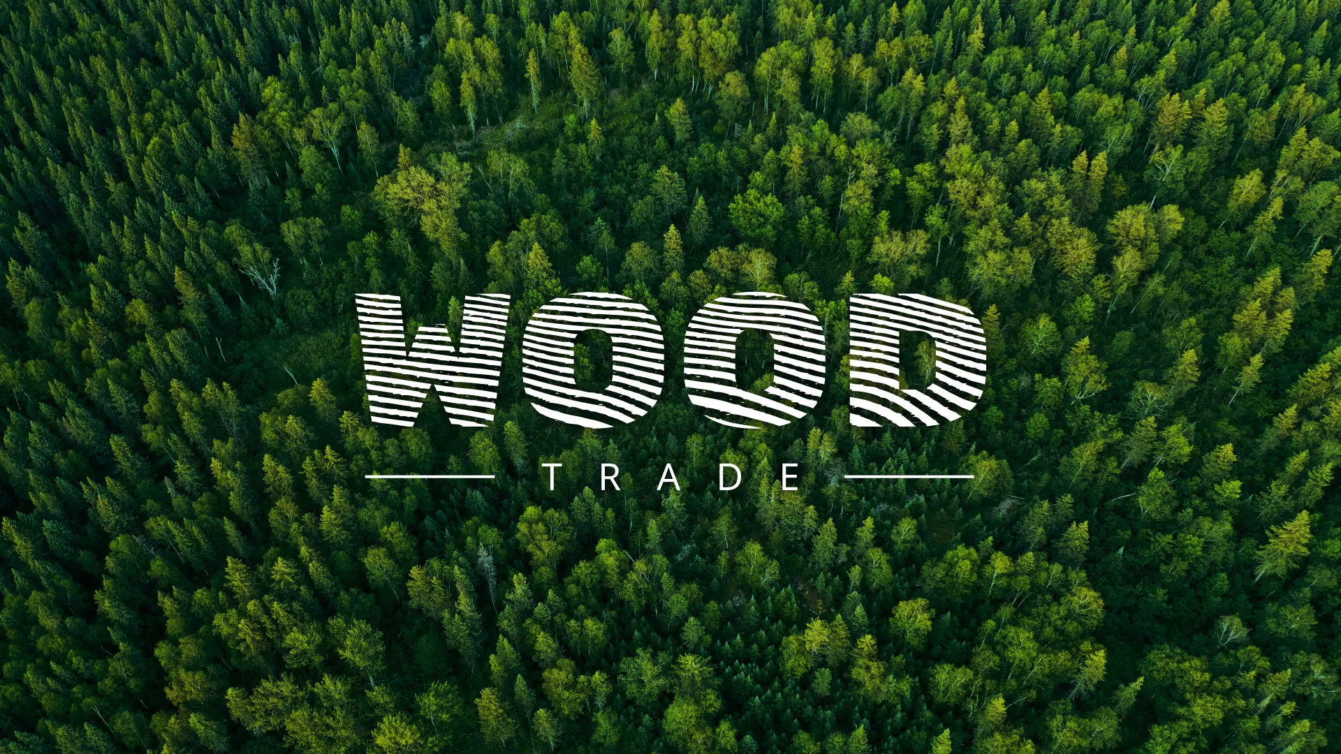 Разработка интернет-магазина компании «Wood Trade» в Курске