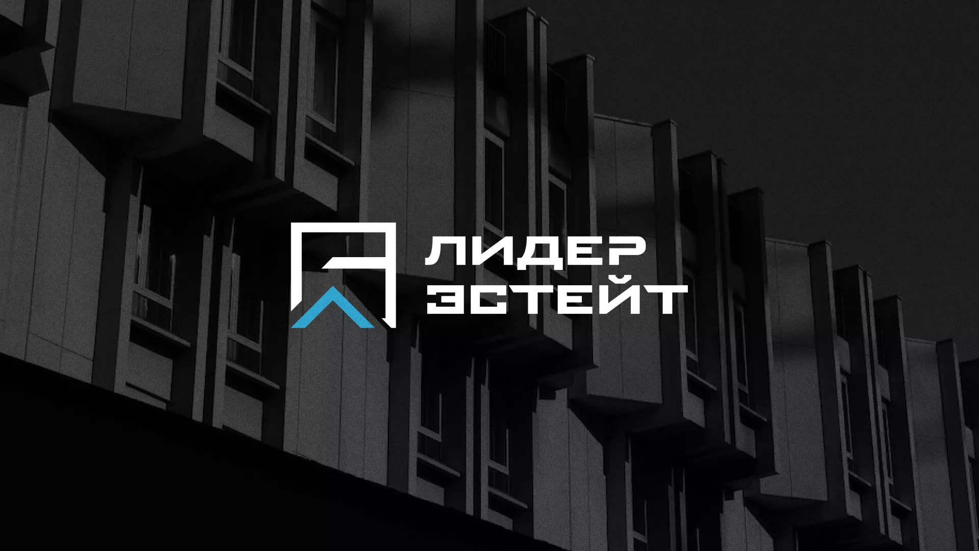 Разработка логотипа агентства недвижимости «Лидер Эстейт» в Курске