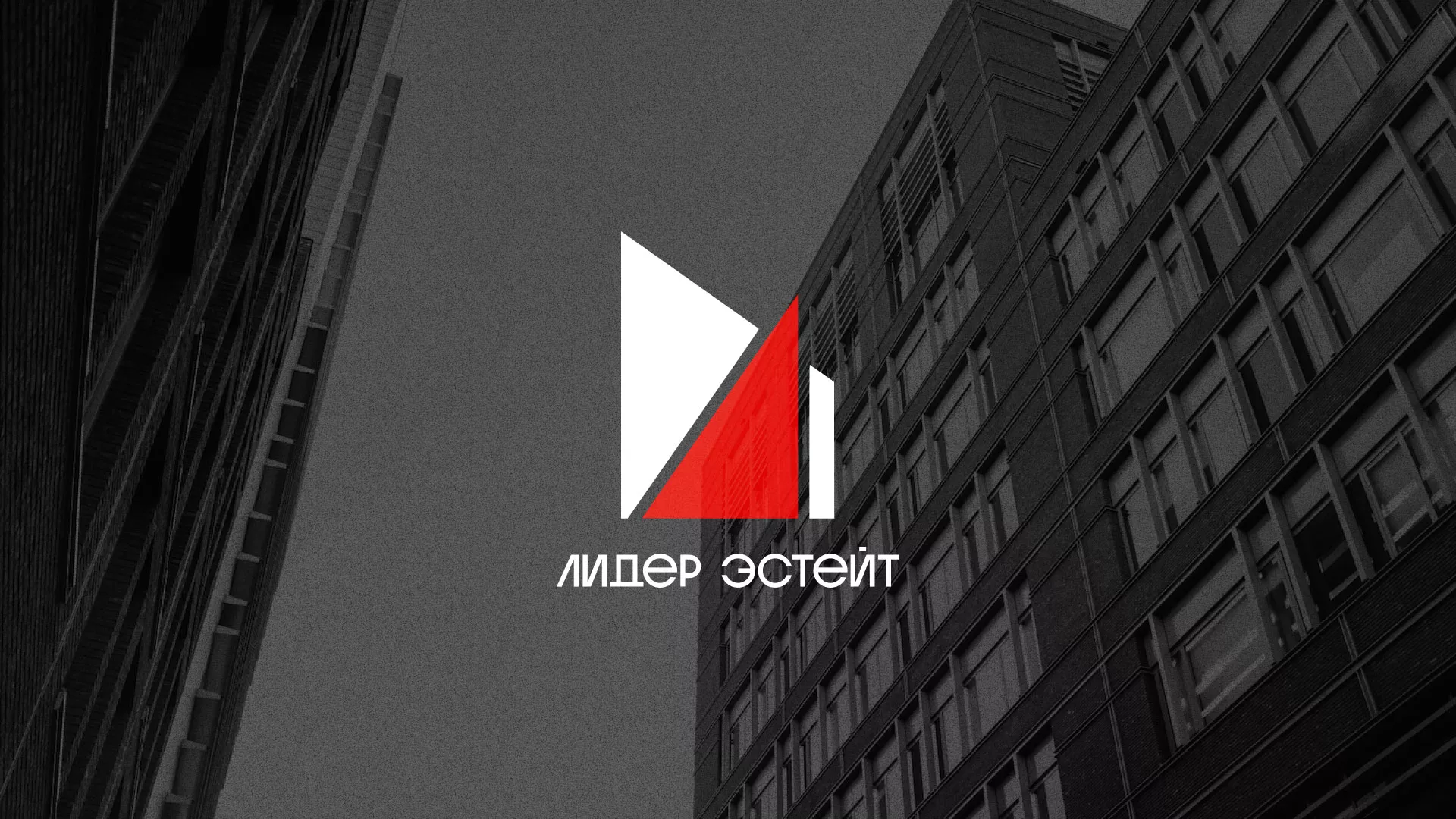 Сделали логотип для агентства недвижимости «Лидер Эстейт» в Курске